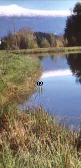163 ho 01